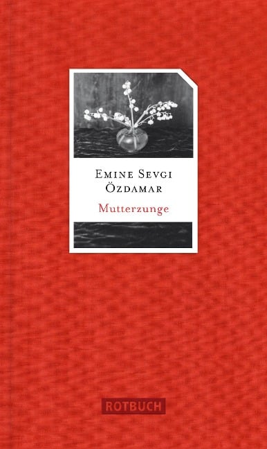 Mutterzunge - Emine Sevgi Özdamar