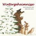 Wintergeheimnisse - Kate Westerlund