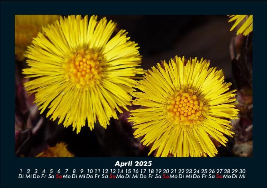 InsideView 8