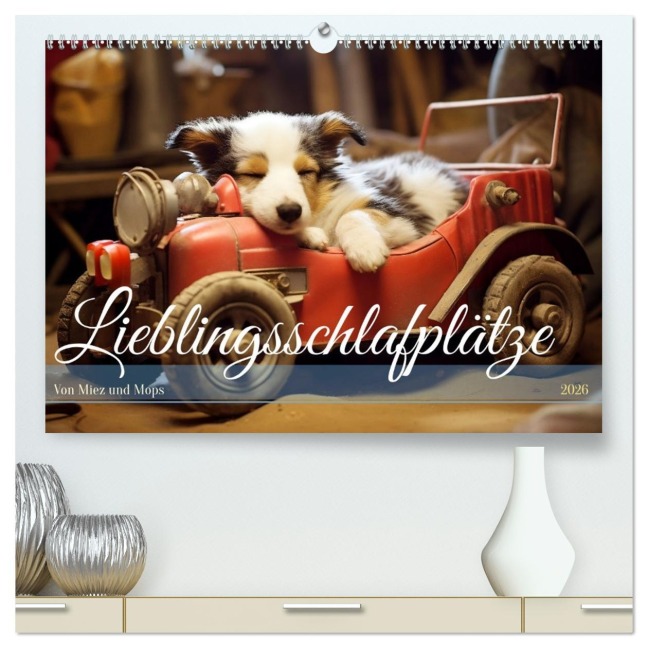 Lieblingsschlafplätze (hochwertiger Premium Wandkalender 2026 DIN A2 quer), Kunstdruck in Hochglanz - Daniela Tapper