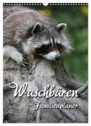 Waschbären Familienplaner (Wandkalender 2026 DIN A3 hoch), CALVENDO Monatskalender - Martina Berg