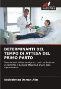 Cover-Bild zum Titel 'DETERMINANTI DEL TEMPO DI ATTESA DEL PRIMO PARTO' von 'Abdirahman Osman Alin'