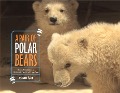A Pair of Polar Bears: Twin Cubs Find a Home at the San Diego Zoo - Joanne Ryder