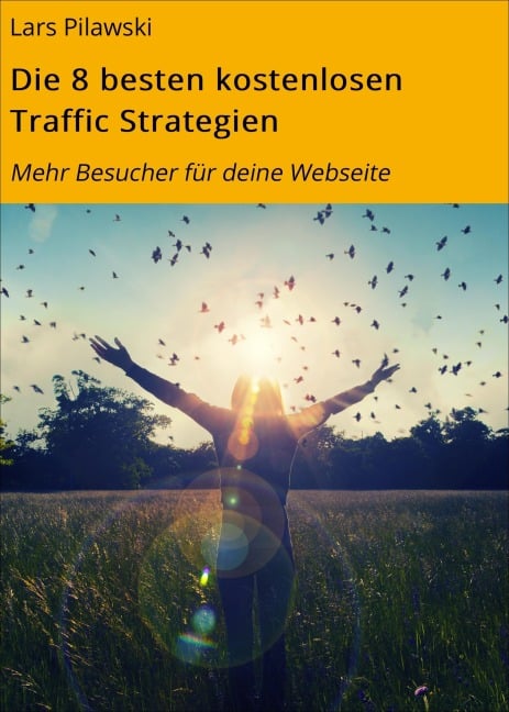 Die 8 besten kostenlosen Traffic Strategien - Lars Pilawski