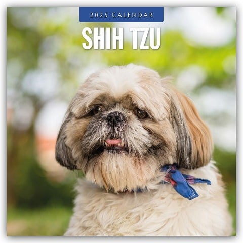 Shih Tzu 2025 - 16-Monatskalender - 