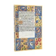 Cover-Bild zum Titel '12-Monatskalender. 2026 Stundenbuch Maxi Verso' von ''