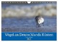 Vögel an Deutschlands Küsten (Wandkalender 2024 DIN A4 quer), CALVENDO Monatskalender - Angelika Meister