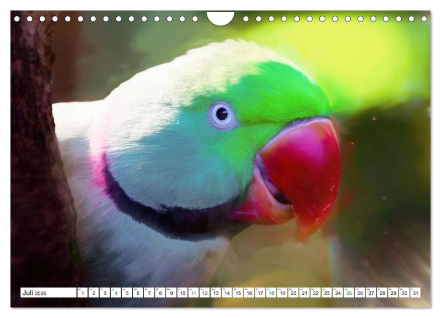 InsideView 12