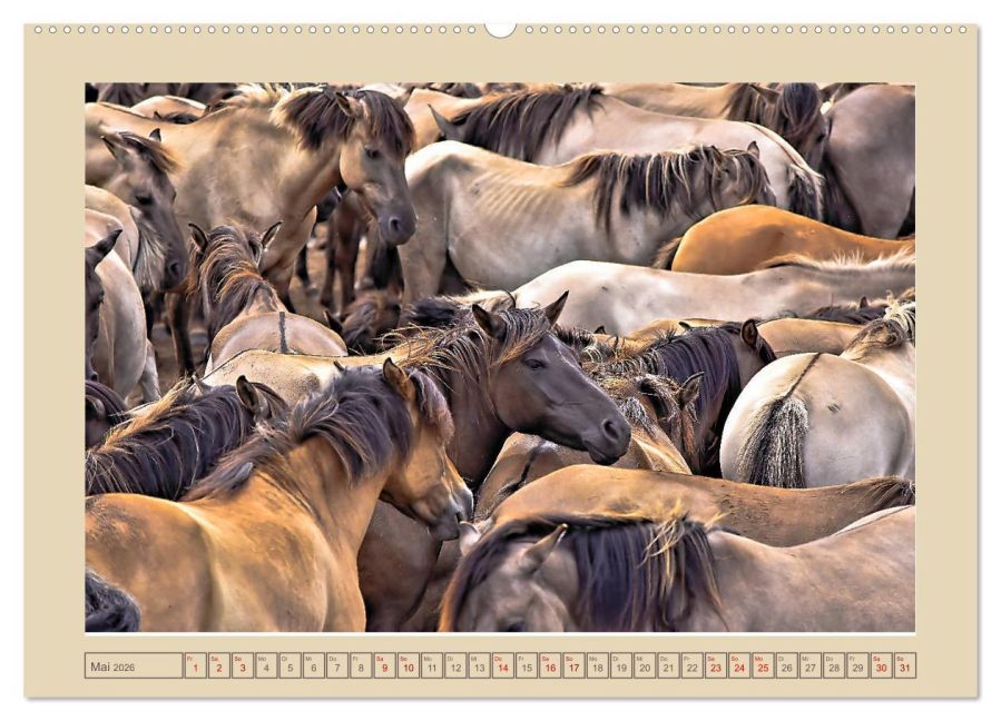 InsideView 10