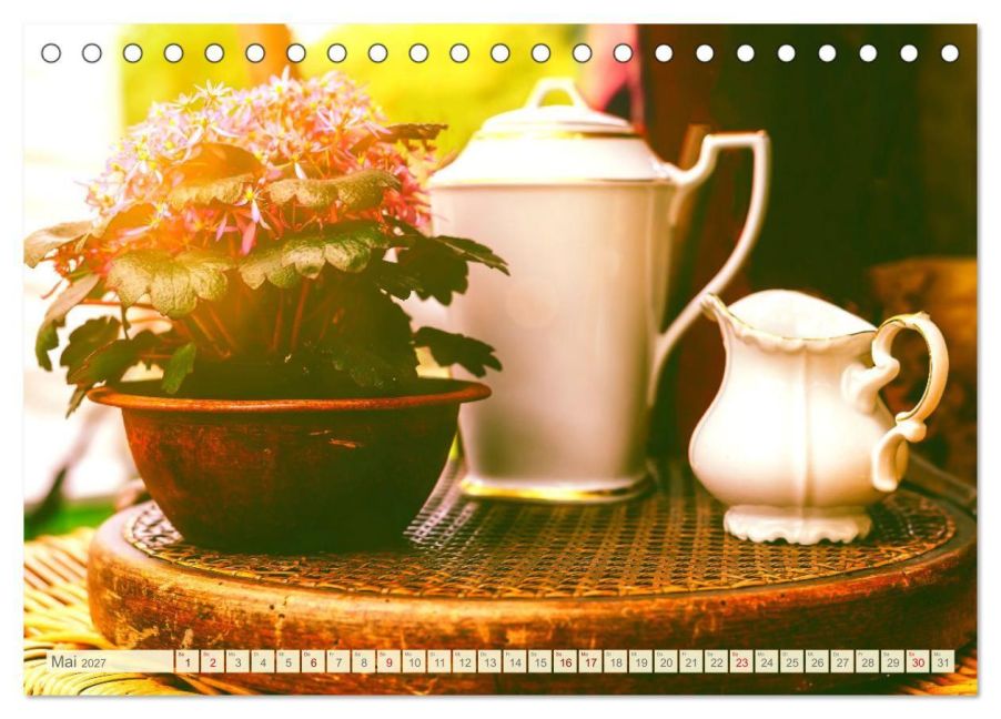 InsideView 10