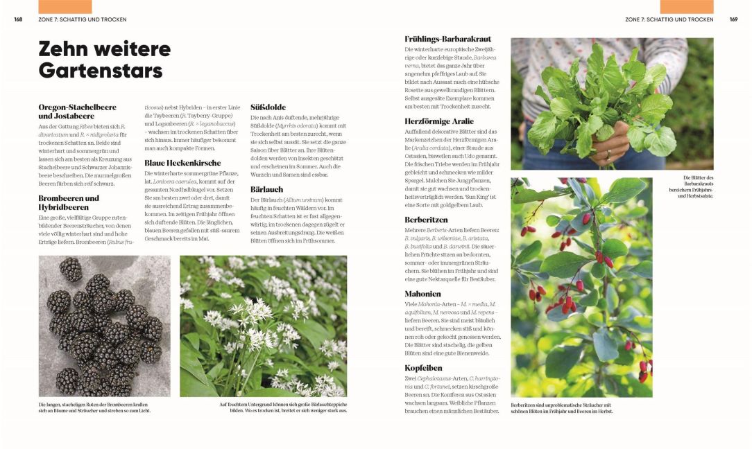 InsideView 8