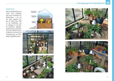 InsideView 4