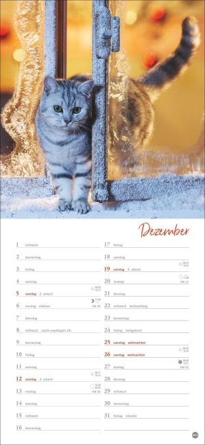 InsideView 12