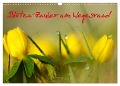 Blüten-Zauber am Wegesrand 2024 (Wandkalender 2024 DIN A3 quer), CALVENDO Monatskalender - Lutz Klapp