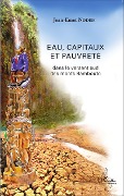 Cover-Bild zum Titel 'Eau, capitaux et pauvreté' von 'Nodem'