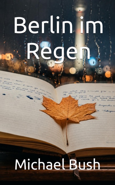 Berlin im Regen - Michael Bush