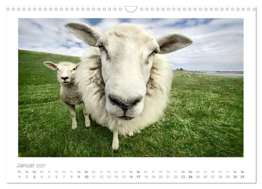 InsideView 6