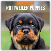 Cover-Bild zum Titel 'Rottweiler Puppies - Rottweiler Welpen 2027 - 16-Monatskalender' von 'Robin Red'