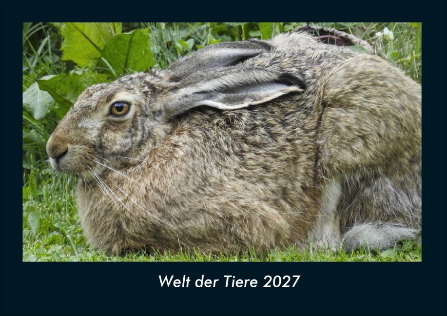 Welt der Tiere 2027 Fotokalender DIN A4 - Tobias Schmitt, Kevin Heber