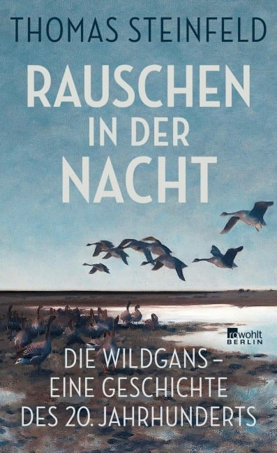 Rauschen in der Nacht - Thomas Steinfeld