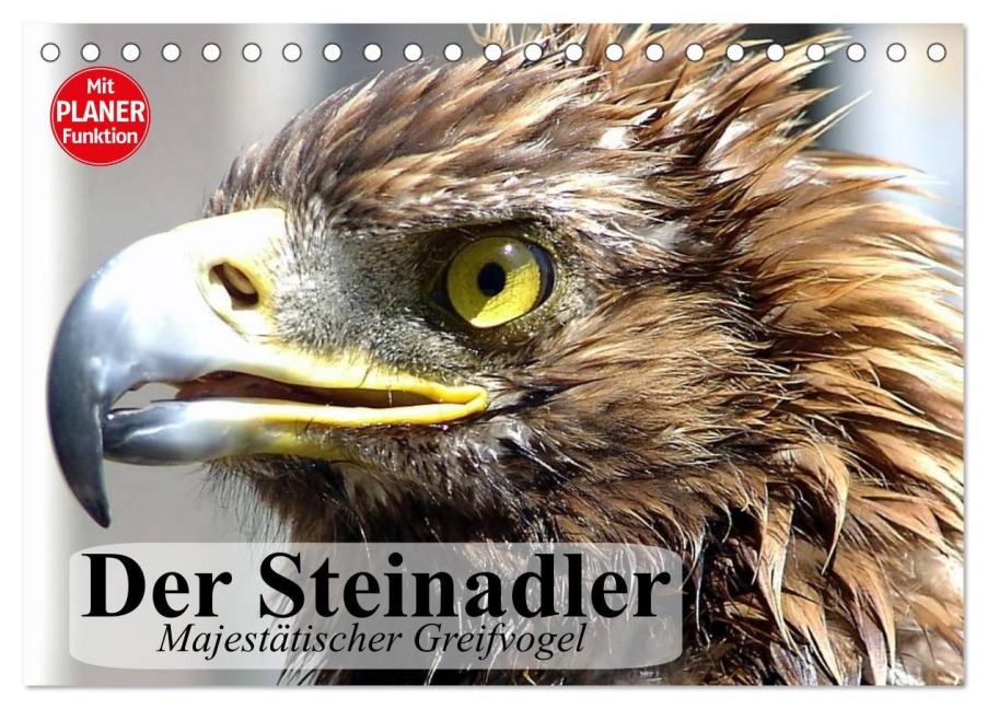 Der Steinadler. Majestätischer Greifvogel (Tischkalender 2026 DIN A5 quer), CALVENDO Monatskalender - Elisabeth Stanzer