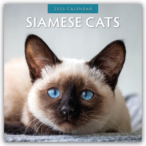 Siamese Cats 2025 Square Wall Calendar - Red Robin