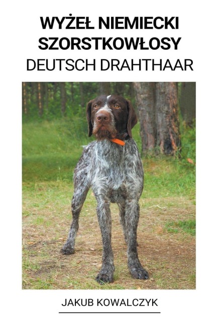 Wy¿e¿ Niemiecki Szorstkow¿osy (Deutsch Drahthaar) - Jakub Kowalczyk