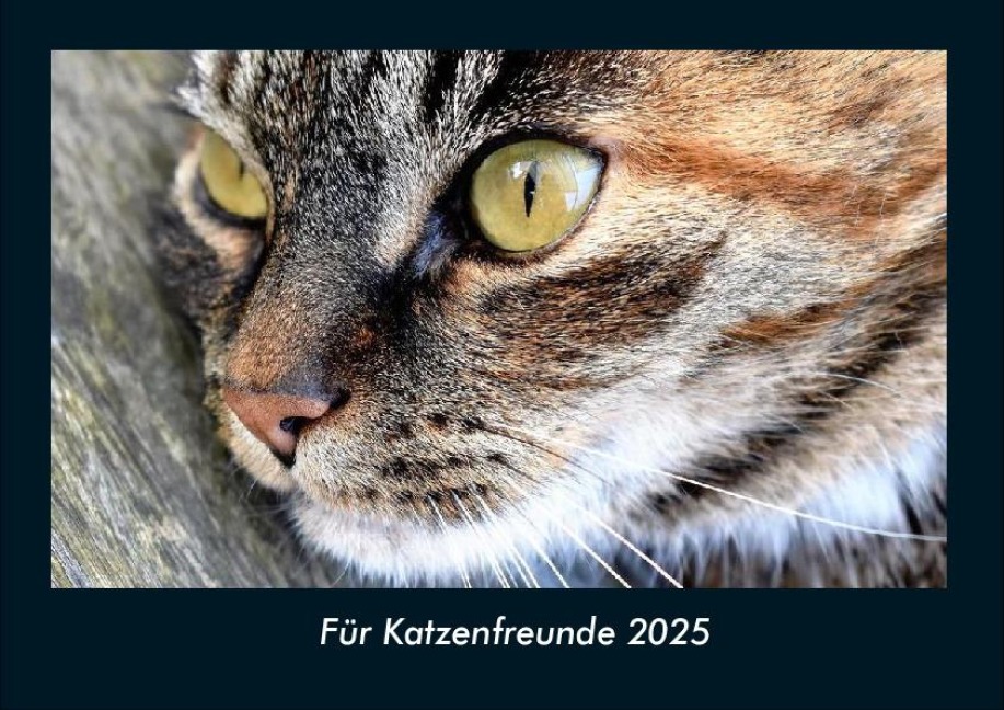 Für Katzenfreunde 2025 Fotokalender DIN A4 - Tobias Becker
