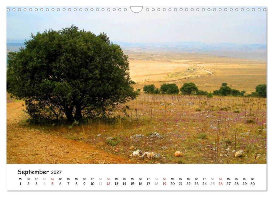 InsideView 14
