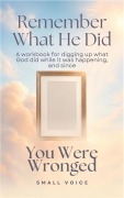 Cover-Bild zum Titel 'Remember What He Did: You Were Wronged' von 'Small Voice'