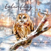 Cover-Bild zum Titel 'Eulenflug junior' von 'Anna-Maria Böswald'