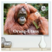 Cover-Bild zum Titel 'Orang-Utans (hochwertiger Premium Wandkalender 2026 DIN A2 quer), Kunstdruck in Hochglanz' von 'Elisabeth Stanzer'