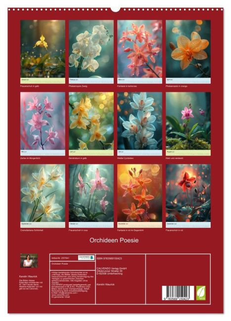 InsideView 4