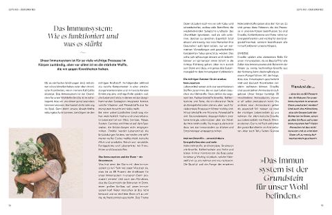 InsideView 4