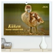 Küken - immer wieder süß (hochwertiger Premium Wandkalender 2026 DIN A2 quer), Kunstdruck in Hochglanz - Peter Roder