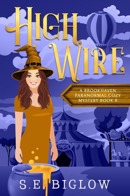 High Wire (Brookhaven Cozy Mysteries, #8) - S. E. Biglow