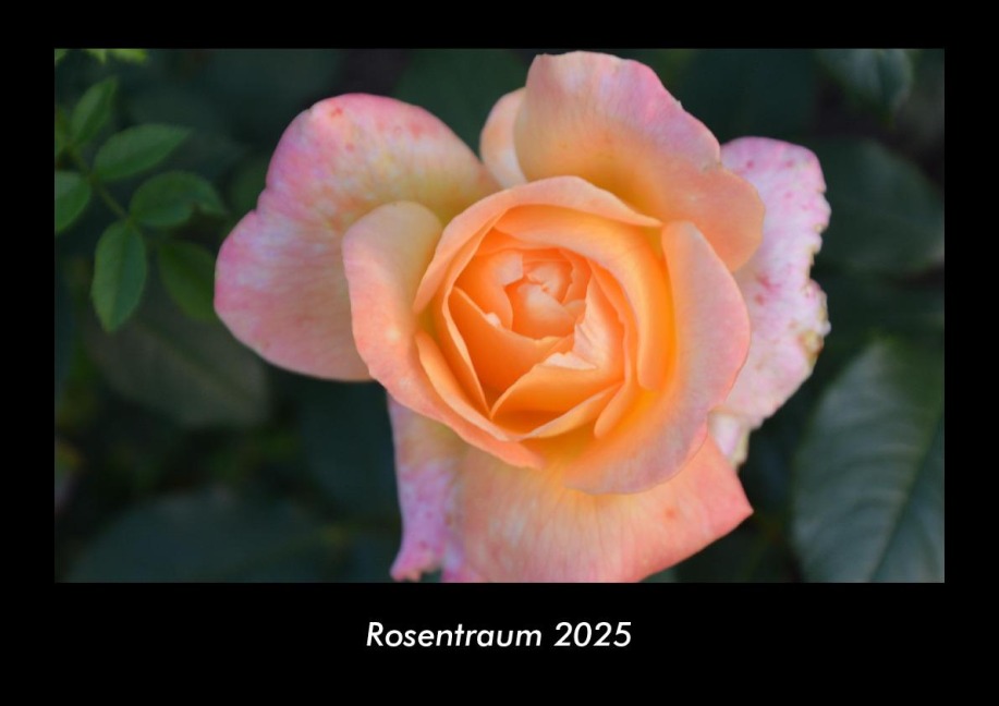 Rosentraum 2025 Fotokalender DIN A3 - Tobias Becker