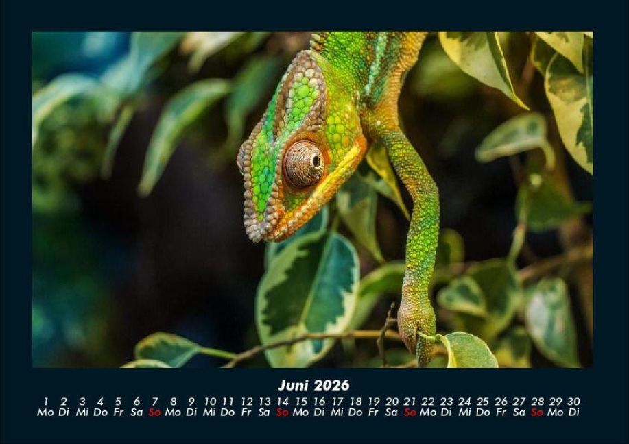 InsideView 10