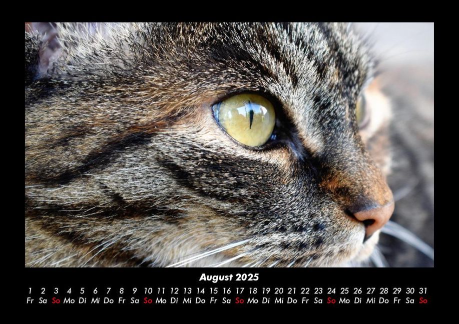 InsideView 12
