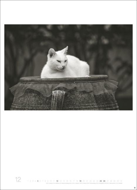 InsideView 12