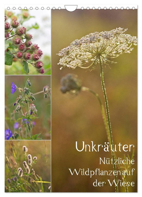 Unkräuter - Nützliche Wildpflanzen auf der Wiese (Wandkalender 2025 DIN A4 hoch), CALVENDO Monatskalender - Drachenkind-Fotografie Drachenkind-Fotografie