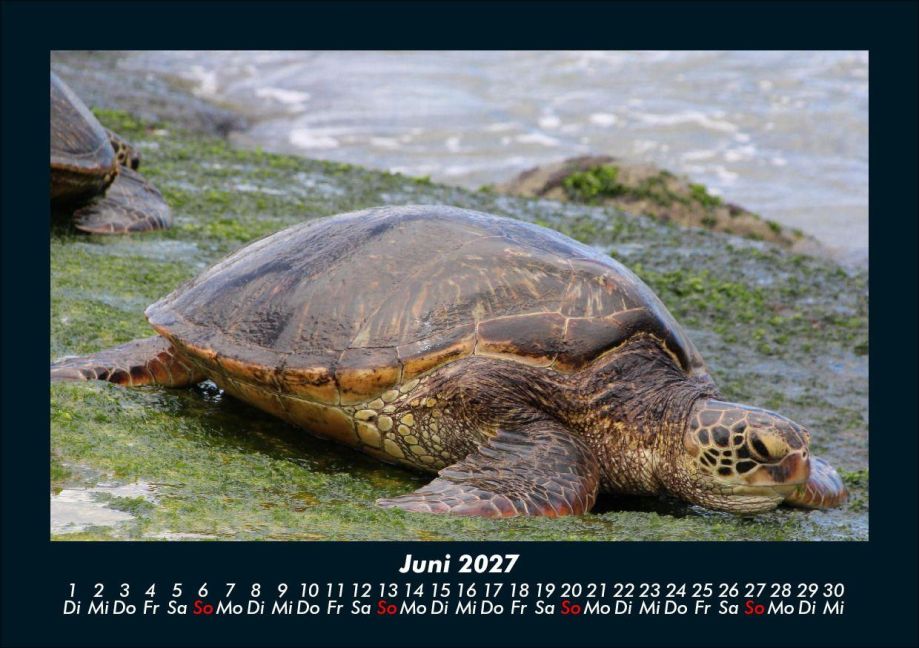 InsideView 10