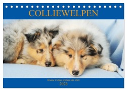Cover-Bild zum Titel 'Colliewelpen - kleine Collies erobern die Welt (Tischkalender 2026 DIN A5 quer), CALVENDO Monatskalender' von 'Sigrid Starick'
