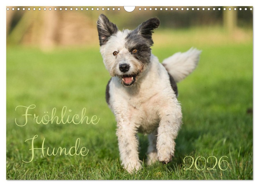 Fröhliche Hunde (Wandkalender 2026 DIN A3 quer), CALVENDO Monatskalender - Martina Fornal