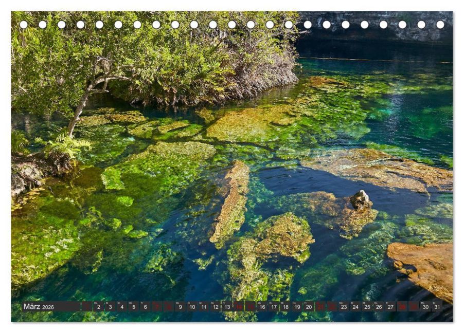 InsideView 8