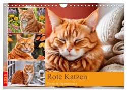 Rote Katzen (Wandkalender 2026 DIN A4 quer), CALVENDO Monatskalender - Steffani Lehmann