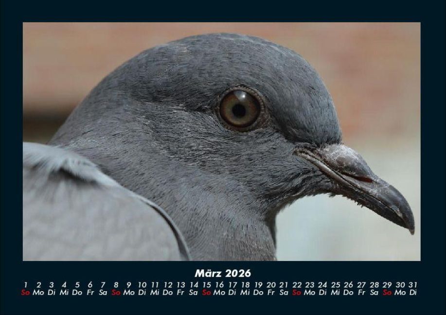 InsideView 7