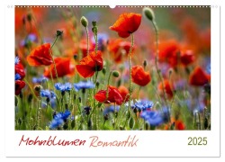 Mohnblumen Romantik (Wandkalender 2025 DIN A2 quer), CALVENDO Monatskalender - Linda Geisdorf