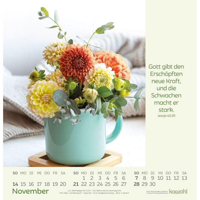 InsideView 11