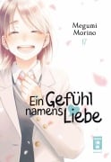 Cover-Bild zum Titel 'Ein Gefühl namens Liebe 17' von 'Megumi Morino'